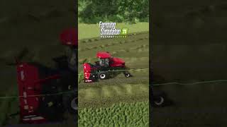 Grass Cutting with MacDon M1240 Windrower  Farming Simulator 25 [upl. by Semela11]