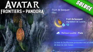 Où trouver des Fruits de bosquet de Qualité SUBLIME  Avatar Frontiers of Pandora [upl. by Janus]