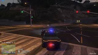 Whipping The 2020 Sheriff Fleet  DOJRP Live [upl. by Kleinstein]