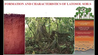 Characteristics and formation of latosol soils CSEC Geography [upl. by Devina304]