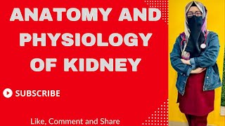 Anatomy and physiology of kidney  overview of kidney  Renal Physiology  Part 1 [upl. by Ahsikrats525]