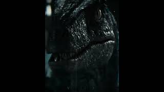 Indoraptor vs blue  song  Killer  fyp shorts jurassicworld [upl. by Analiese]