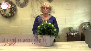 Maak zelf een mooi bloemstuk op vaas of pot [upl. by Narmi801]