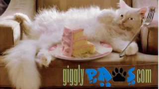 Cat Steals Birthday Cake Funny Cat Video Clip Online Birthday E Cards [upl. by Starla]