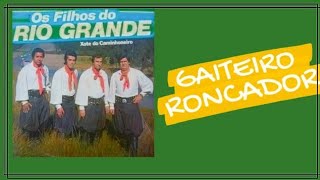 Gaiteiro Roncador  Os Filhos do Rio Grande [upl. by Ynittirb]