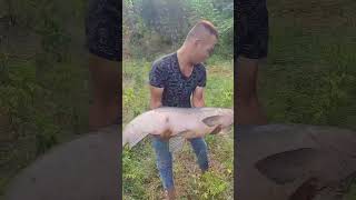 Biggest Carp Fish Fishing Skill 99 fishing [upl. by Sessler]