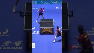 Lin Yun Ju ITTF Macao 2024 ittfmacao2024 tabletennis shorts [upl. by Sillihp]