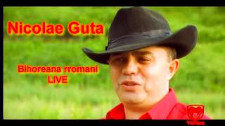 Nicolae Guta  Bihoreana rromani LIVE [upl. by Bara285]