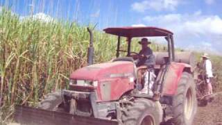 Sugar Cane planting Proserpine Queensland Australia [upl. by Faxon]