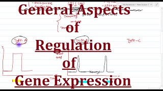 2 General aspects of gene regulation [upl. by Tonry]