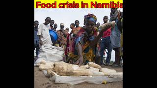 Food crisis in Namibia short shorts [upl. by Nyrhtakyram170]