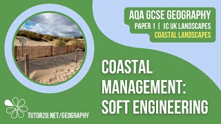 Coastal Management Soft Engineering Strategies  AQA GCSE Geography  Coastal Landscapes 11 [upl. by Amsirahc]