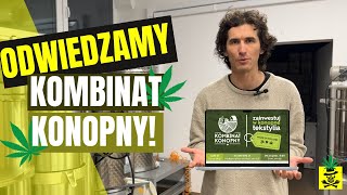 Kombinat Konopny jak wygląda  KOMBINATKONOPNY X WINI [upl. by Tsirhc698]