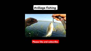 నిమిషానికో చేప పడుతుంది BEST VILLAGE FISHING 🎣 TELUGU FISHING [upl. by Otreblada]