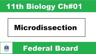 Microdissection  Class 11 Biology  Chapter 1  fbise  Ilmi Stars Academy [upl. by Noned]