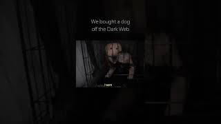 Dark Web video 🔥 mysterious mystrythriller dark deepweb darkwebsecrets darkweb [upl. by Nagiem926]