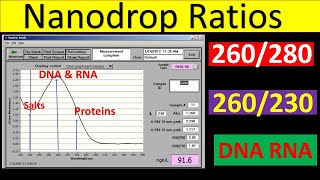 Nanodrop Ratios Explained  260280 ratio DNA  260280 ratio RNA  260230 Ratio  Qunatification [upl. by Erna801]