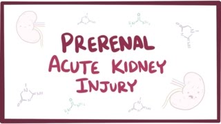 Prerenal acute kidney injury acute renal failure  causes symptoms amp pathology [upl. by Skillern]