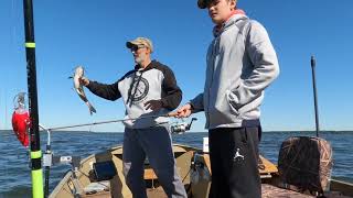 YouTuber meetup With “ MARK PRO AND JON GUNNER” Lake Petenwell walleyefishing fallfishing [upl. by Niret780]