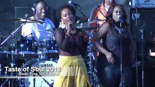 Vivian Green Emotional Rollercoaster Live at 1023 Radio Free Music Stage Taste of Soul 2018 [upl. by Raynata]