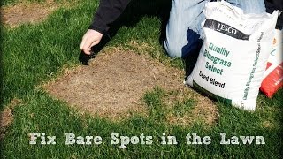 How To Seed And Repair Bare Spots in the Lawn [upl. by Zarla]