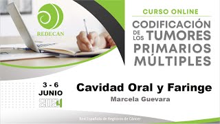 Cavidad Oral y Faringe Marcela Guevara [upl. by Namar]