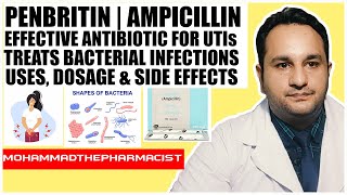 Penbritin Ampicillin Effective Antibiotic for UTIs amp Bacterial Infections  Dosage amp Side Effects [upl. by Tebazile]