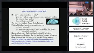 Lecture 31 Liz Spelke  Cognition in Infancy Part 1 [upl. by Vtehsta]