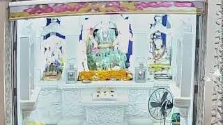 Maa Bhagvati Bhuvneshwari Mataji Live darshan [upl. by Ynattirb]