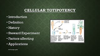 Cellular totipotency in Plants  Plant tissue culture  AZ Concepts guide [upl. by Clarise]