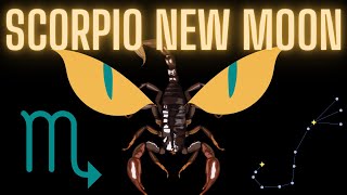 What Are You HYPERFOCUSING On Scorpio New Moon scorpio astrology tarot [upl. by Yanaj]