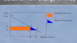 Benefit  Cost Analysis  Consumers and Producers Surplus [upl. by Llehcim780]