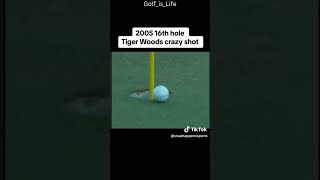 Crazy Tiger Woods Golf Shot at the Masters [upl. by Sheelagh]