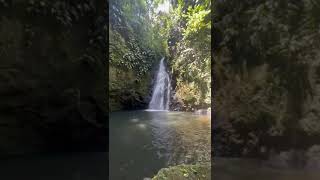 Cascada en las selvas del Putumayo happy nature putumayo travel [upl. by Anaili]