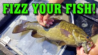 Every Angler Needs to Watch This Video  How To amp Why Fizz Your Fish [upl. by Francene185]