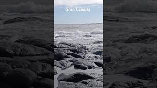 GuideCanarias shorts grancanaria [upl. by Adlar]