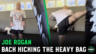 Joe Rogan back to destroying the heavy bag with spinning kicks [upl. by Amikan]