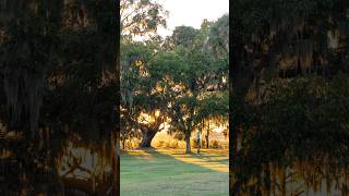 Day 293365 Best Sunset Spot in Beaufort SC photography coastal travel beaufort river art [upl. by Marleah178]