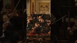 Johannes Brahms Hungarian Dance No5 [upl. by Berkow948]