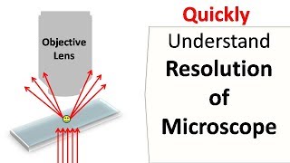 Resolution of a Microscope [upl. by Rumilly]