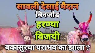 बकासुर पराभव का झाला   bakasur  Savali desai maidan  Savali maidan live  bailgadasharyat [upl. by Gorlin]