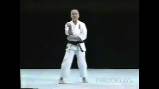 Шиторю каратэКата СанчинSanchin Shito Ryu [upl. by Ellennahc]