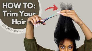 How To Trim Your Own Hair  Beginner Friendly 😊 [upl. by Bergquist]