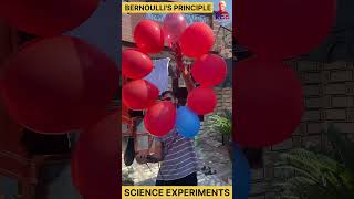 bernoullis principle  science experiments physics science shorts [upl. by Yun]