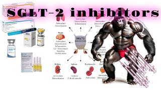 SGLT2 Inhibitors Beyond Kidney Protection [upl. by Niowtna]