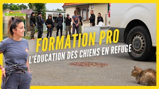 Éducation Canine en Refuge et PostAdoption avec Helena  SPA dHermeray [upl. by Hulburt]