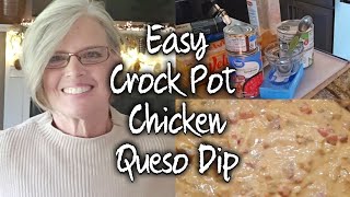 Easy Crock Pot Chicken Queso Dip  Plus My Amazon Find [upl. by Naiviv]