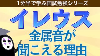 1分半で学ぶ国試勉強シリーズ「イレウスとは」単純性イレウスで金属音が聴取できる理由とは [upl. by Kcuhc]