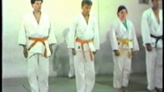 Sensei Greg Palmer Nidan Grading Pt 1 [upl. by Gausman]