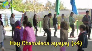 Dinámicas y Danzas Scouts Chamaleca [upl. by Dickenson]